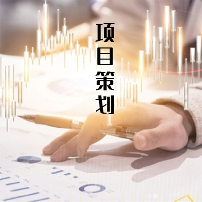 项目策划